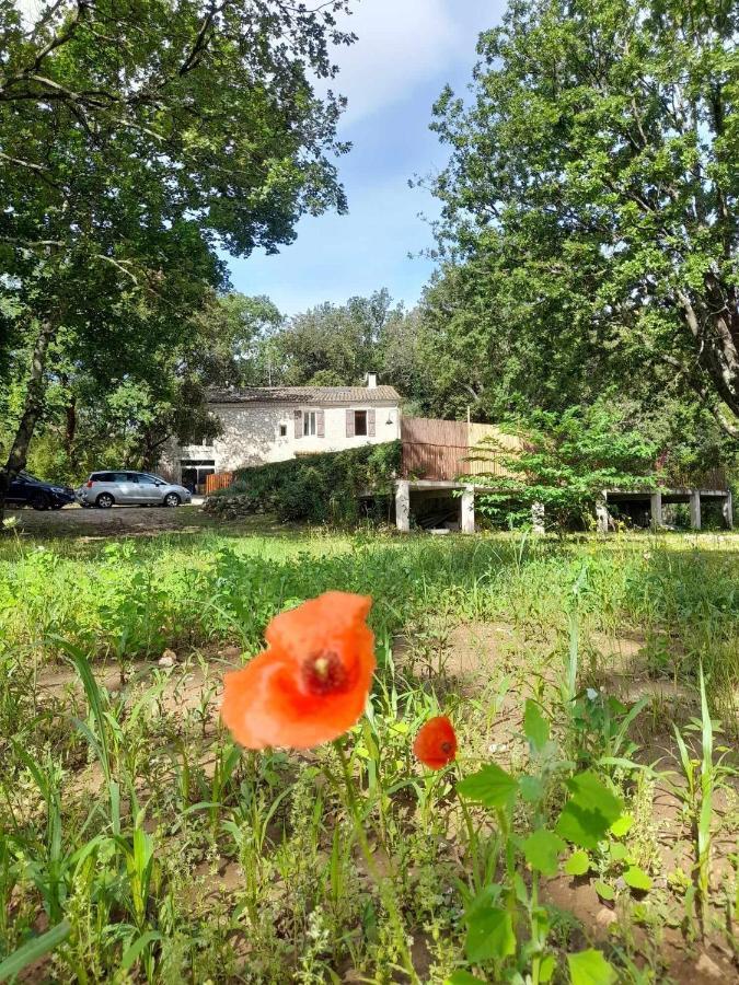 Le Mas Du Coquelicot Dions Exterior photo